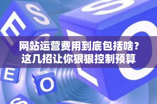 网站运营费用到底包括啥？这几招让你狠狠控制预算