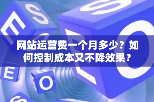 网站运营费一个月多少？如何控制成本又不降效果？