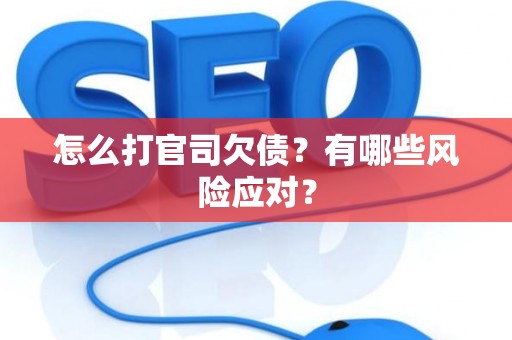怎么打官司欠债？有哪些风险应对？